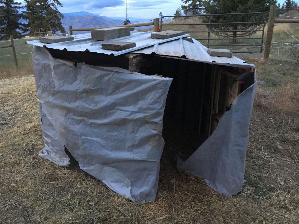 wrapped shelter